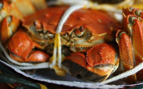【塩田店】11月24日、25日限定で上海蟹フェアを開催します🎵